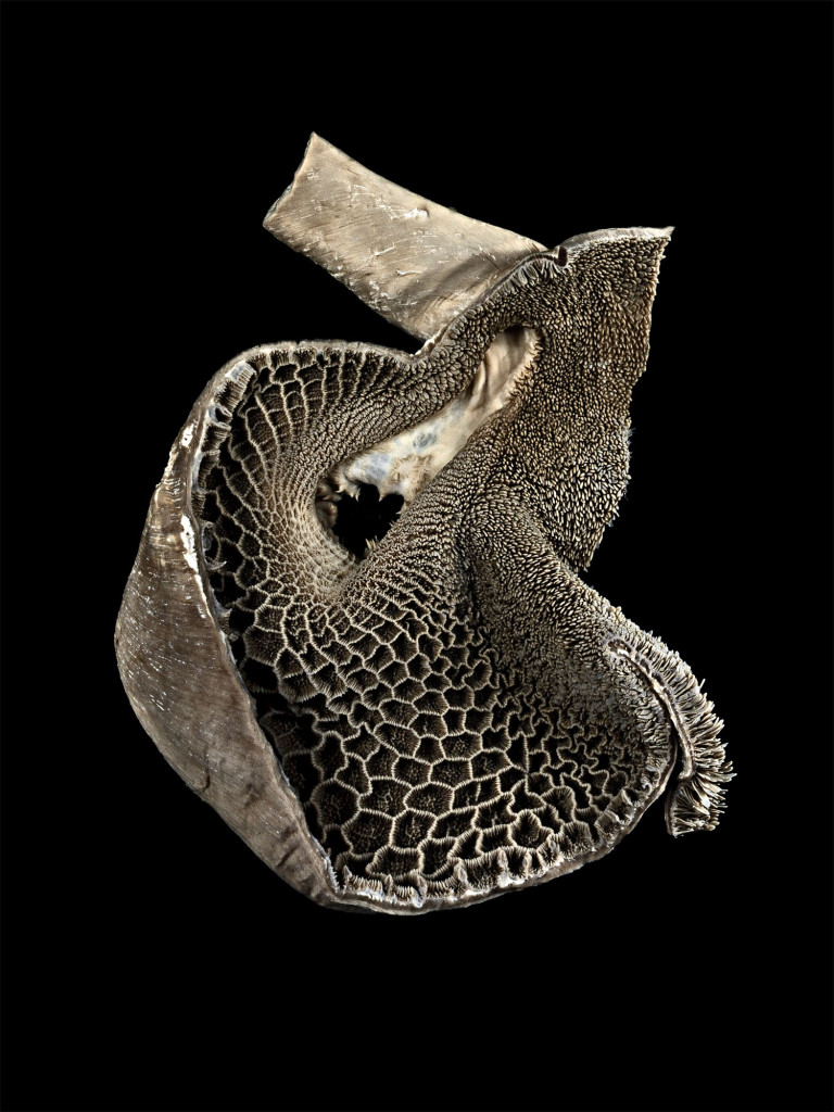01_A0495360